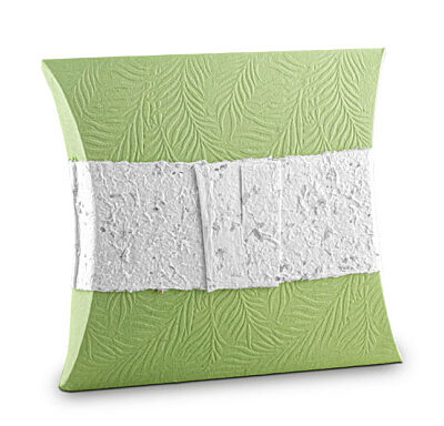 G. Seller memorial product: KS137 - Bio Sea photo