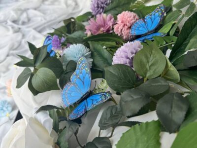 A photograph to represent this news article.