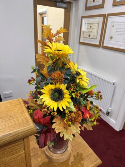 A photograph to represent this news article.