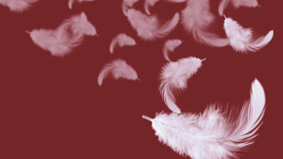 Our Annual Service of Reflection 2022 banner background photograph