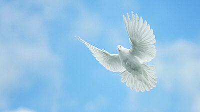 The Benefits of a Memorial Service banner background photograph