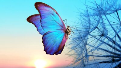 Losing A Child Is A Grief That Defies Understanding... banner background photograph