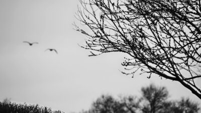 What is Grief? banner background photograph