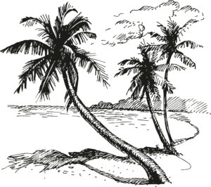 Beach island graphic