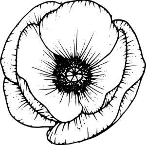 Poppy graphic