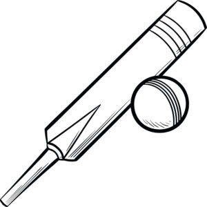 Cricket bat graphic