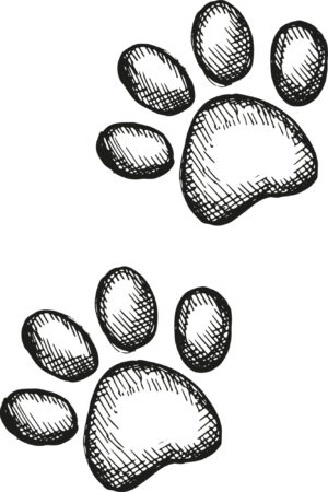 Dog paws graphic