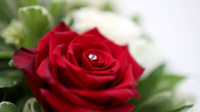 Registering A Death banner background photograph