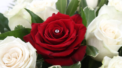 Attended Funeral banner background photograph