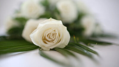 Unattended Funeral banner background photograph