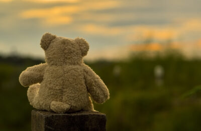 A thumbnail photo to accompany this customer feedback quote