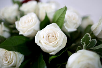 A thumbnail photo to accompany this customer feedback quote