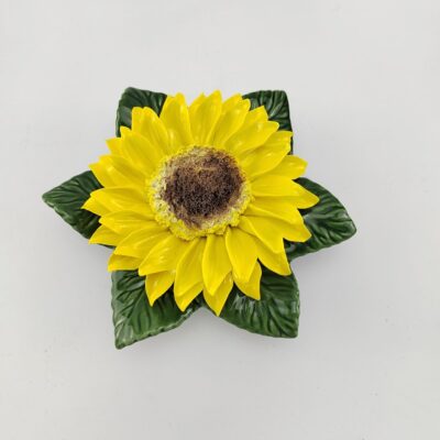 A photograph from the G. Seller archive.