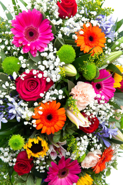 A thumbnail photo to accompany this customer feedback quote