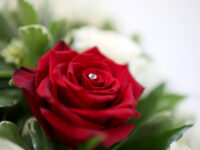 Registering A Death page photo