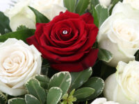 Attended Funeral page photo